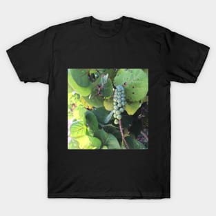 Nature T-Shirt